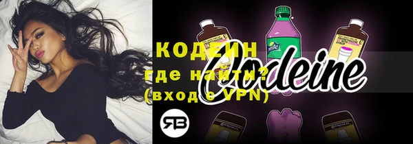 дмт Бородино