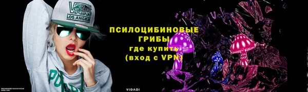 дмт Бородино
