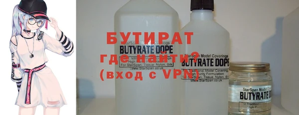дмт Бородино