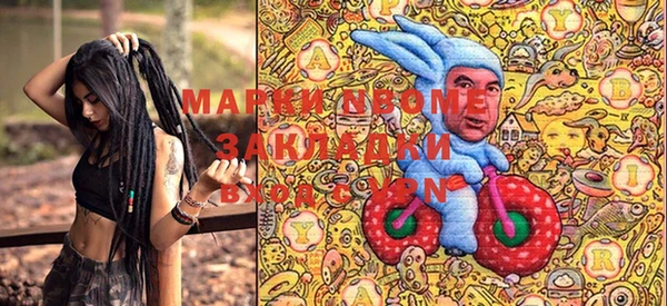 дмт Бородино