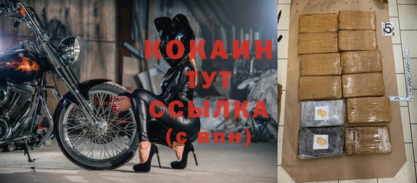 дмт Бородино