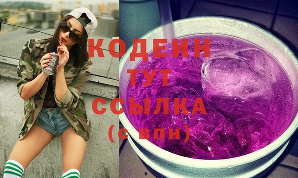 дмт Бородино