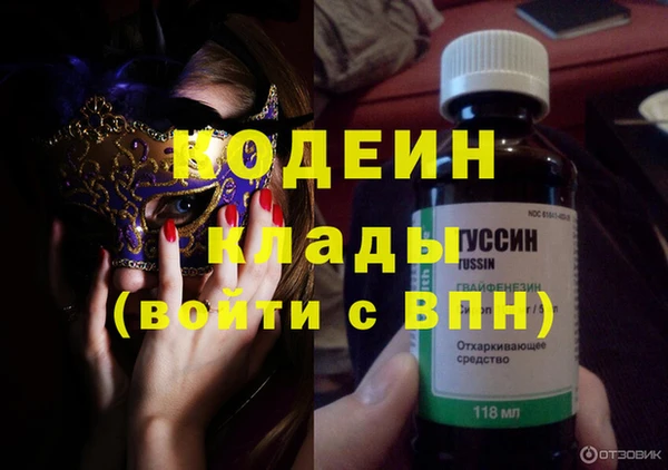 дмт Бородино