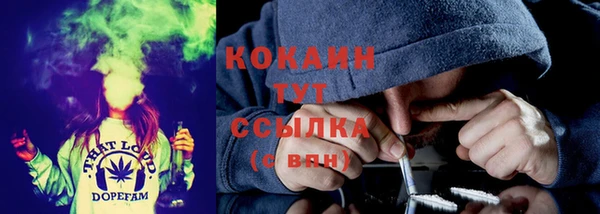дмт Верея