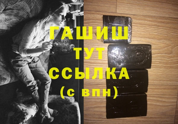 дмт Бородино