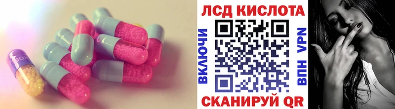 kraken вход  это формула  LSD-25 экстази ecstasy  где купить наркоту  Новохопёрск 