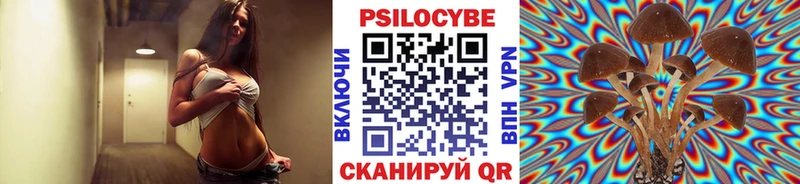 купить наркотик  Новохопёрск  Галлюциногенные грибы Magic Shrooms 